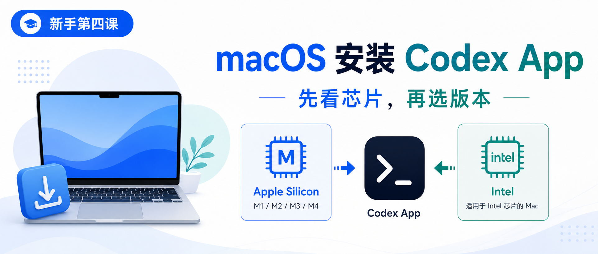 Codex App 新手课 04:macOS 安装,先看芯片再选版本